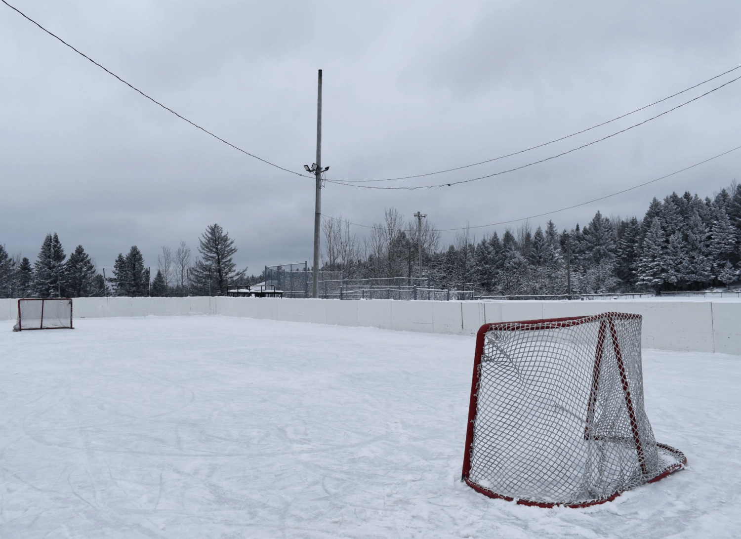 A snowy outdoor ice hockey rink with two red goals, surrounded by trees and cloudy sky.