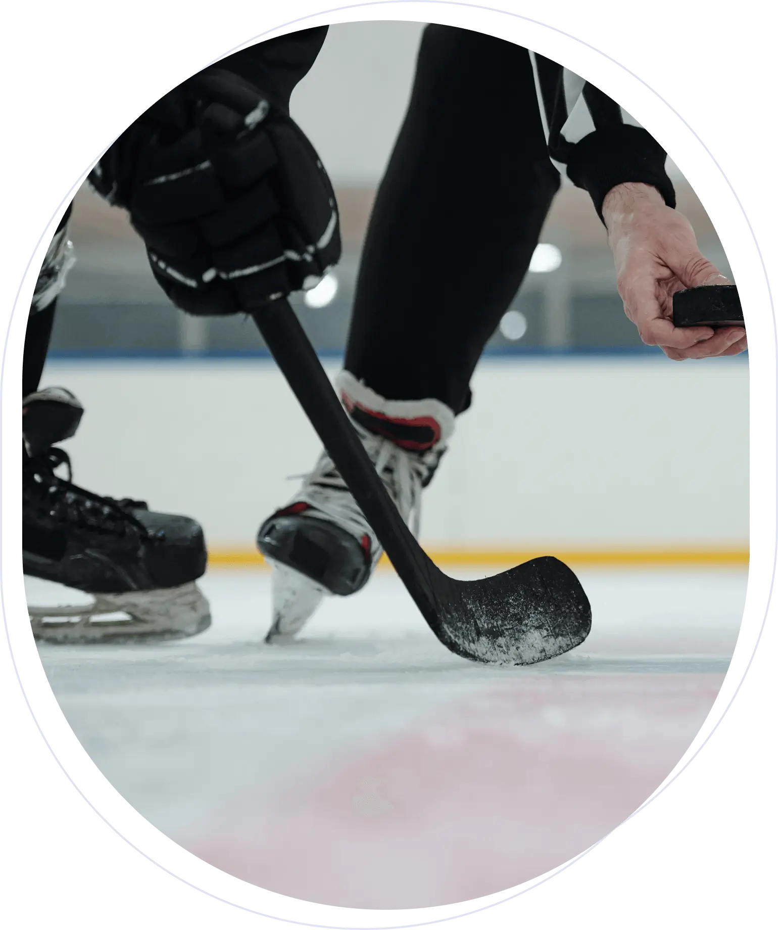 Close-up of an ice hockey player preparing for a face-off, with a referee holding the puck. Players' skates and stick on the ice with focus on the puck.